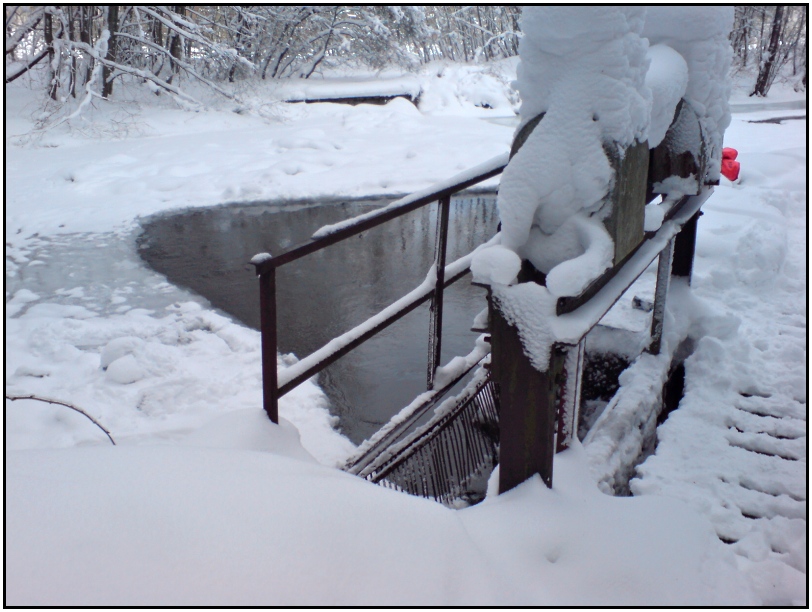 Valšov přítok 2010 